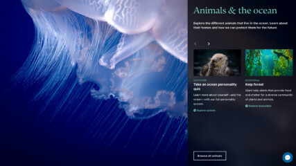 Screenshot from the home page showing a jellyfish on the left and onward journeys to more animal information on the right.