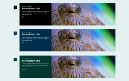 Three examples showing how different colour combinations stack up against accessibility standards