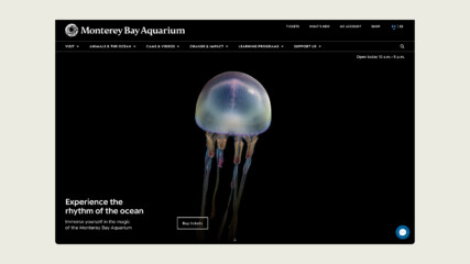 A desktop screenshot of the Monterey Bay Aquarium home page. It shows an ethereal jellyfish floating in the darkness.