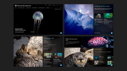 A grid of screenshots showing off our work with Monterey Bay Aquarium