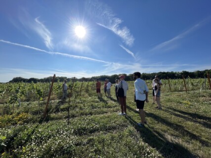 Photograph of Cogappers at a vineyard