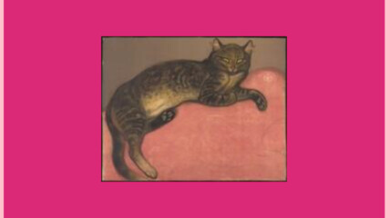 A pink rectangle with a small image thumbnail displayed inside it. The thumbnail shows a cat on a cushion.