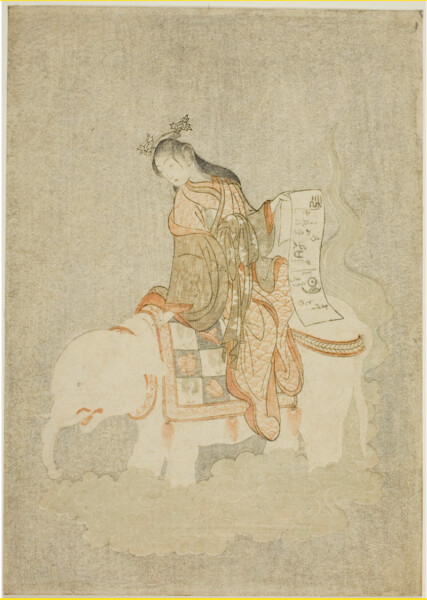 A woman sat on an elephant