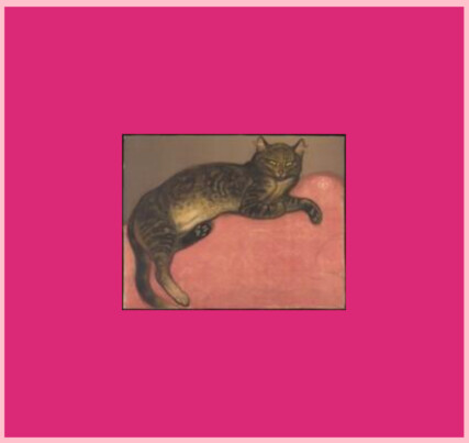 A pink rectangle with a small image thumbnail displayed inside it. The thumbnail shows a cat on a cushion.
